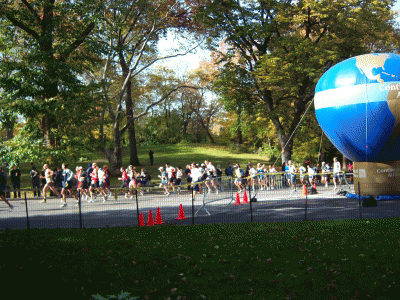 central park 25 miles