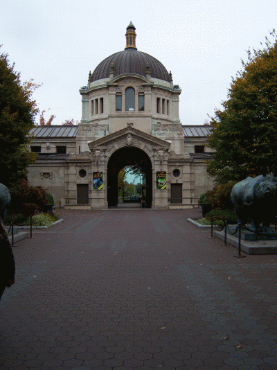 The Bronx Zoo