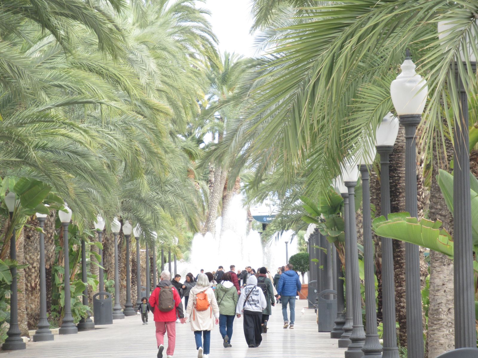 Alicante.