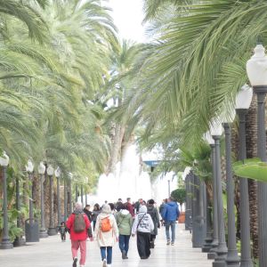 Alicante.
